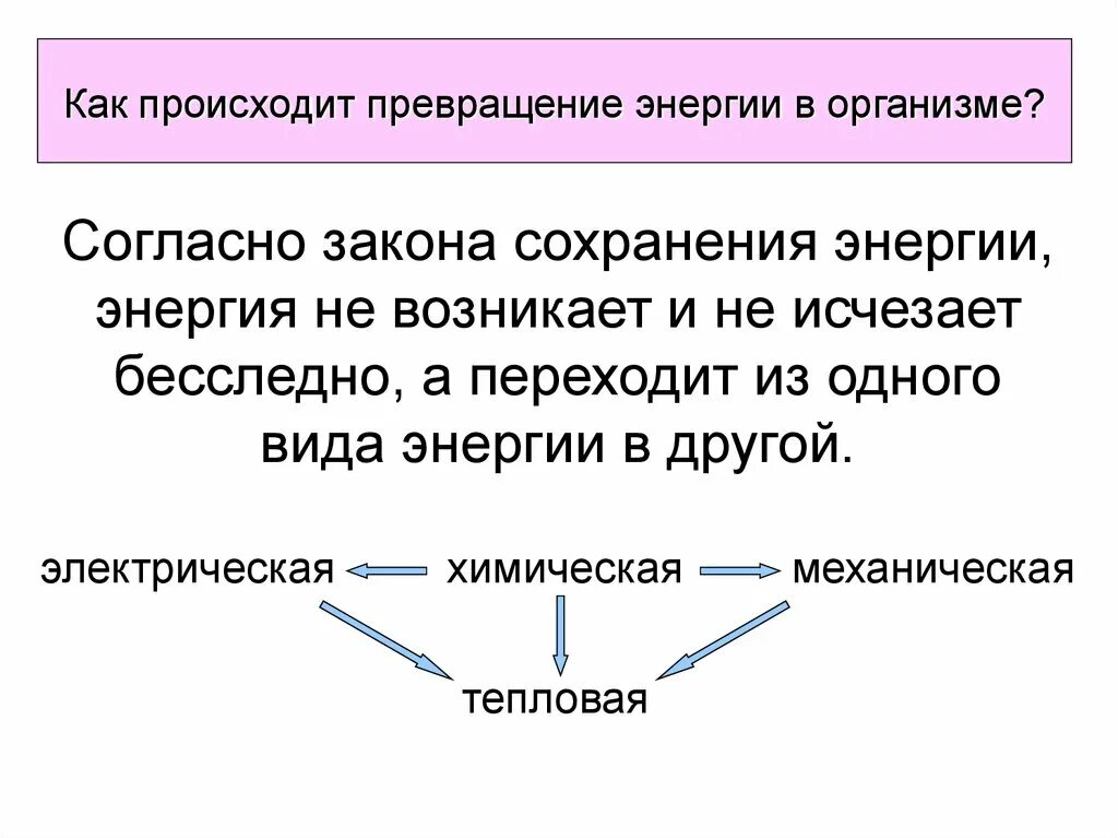 Как происходит превращение энергии. Превращение энергии биология. Виды превращения энергии. Примеры преобразования энергии.