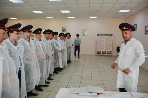 Бмтивс уфсин