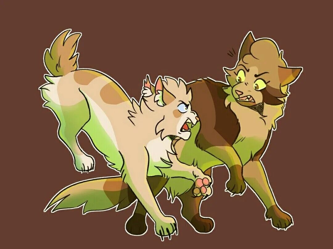 Волки воители и коты воители. Коты для ролки. Коты воители неистовая буря. Коты воители неистовая буря. Коты воители неистовая буря сколько страниц.