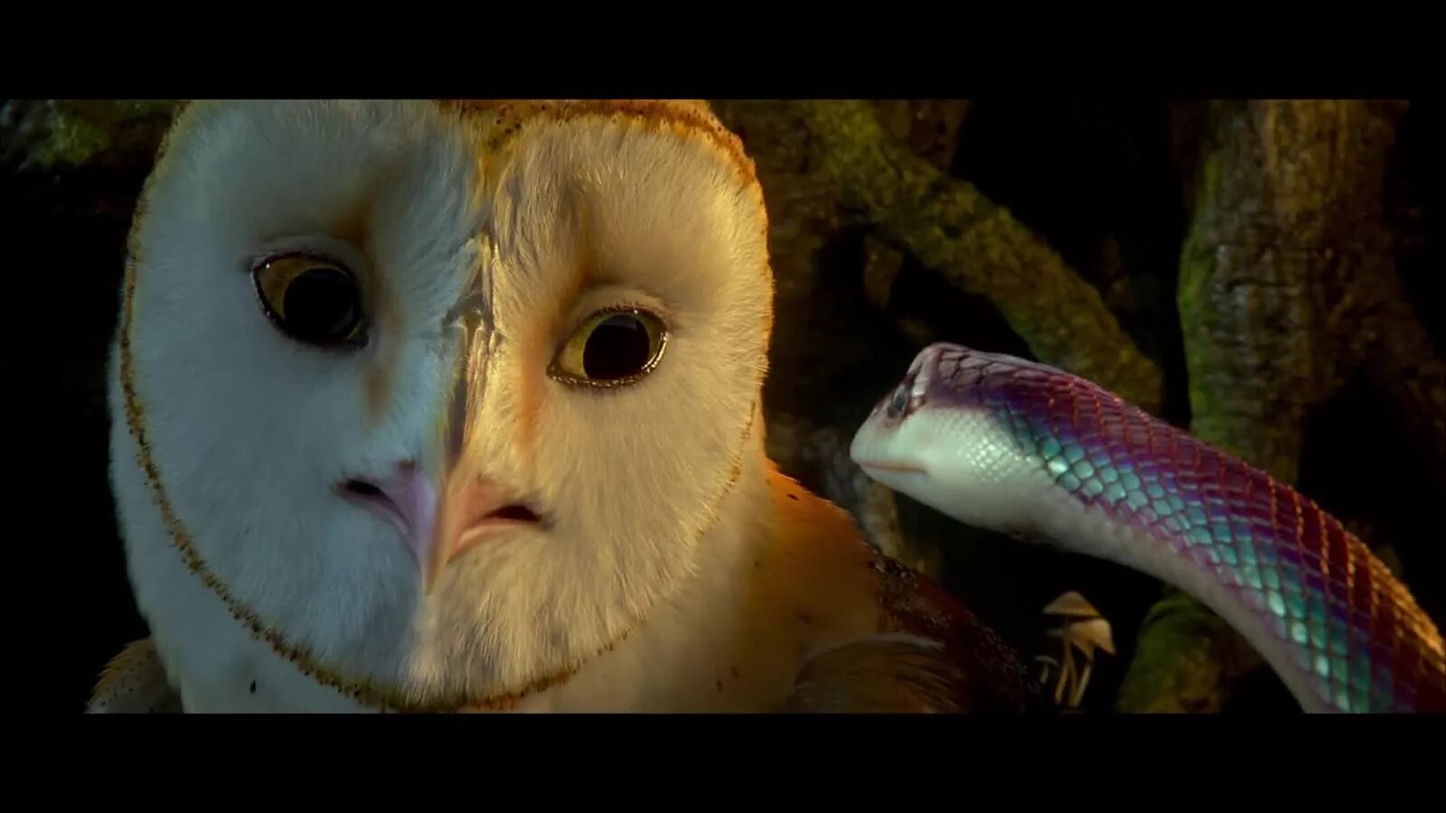 Ga hoole guardians the owls legend. Легенды ночных стражей мультфильм 2010. Легенды ночных стражей Отулисса. Легенды ночных стражей найра. Скрум легенды ночных стражей.
