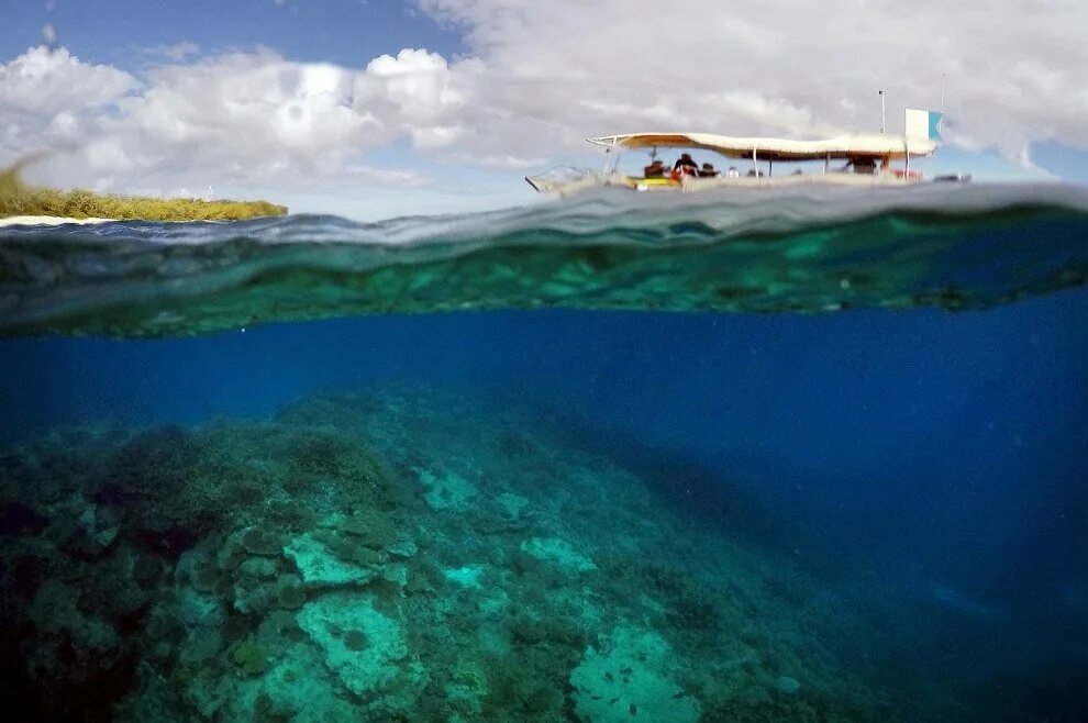 Island вода. Леди-Эллиот коралловое море. Остров под водой. Остров Водный. Риф над водой.