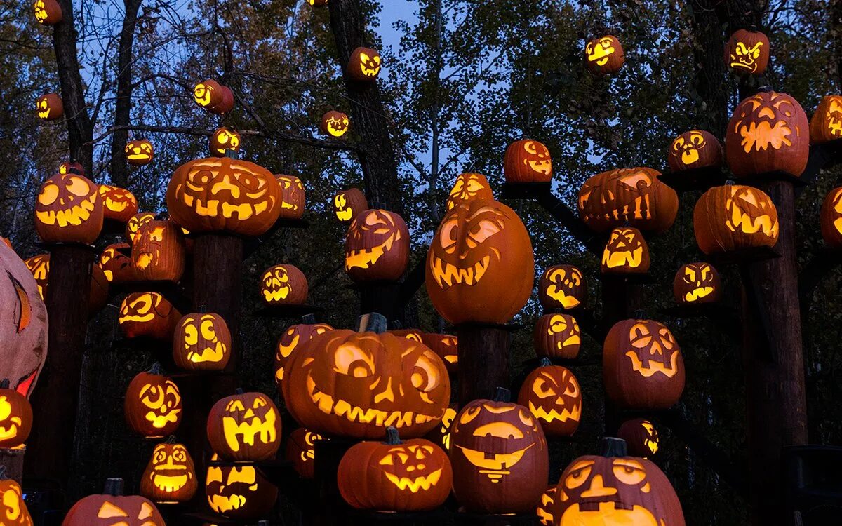 Halloween events. Хэллоуин праздник. Хэллоуин фото. Хэллоуин во Франции. Хэллоуин празднование в России.