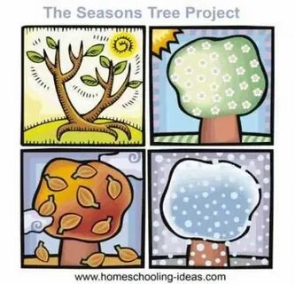 Mine seasons