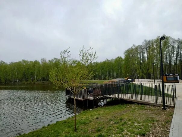 Парк Малаховское озеро. Обзор на случай если будете проезжать мимо, или у вас ту