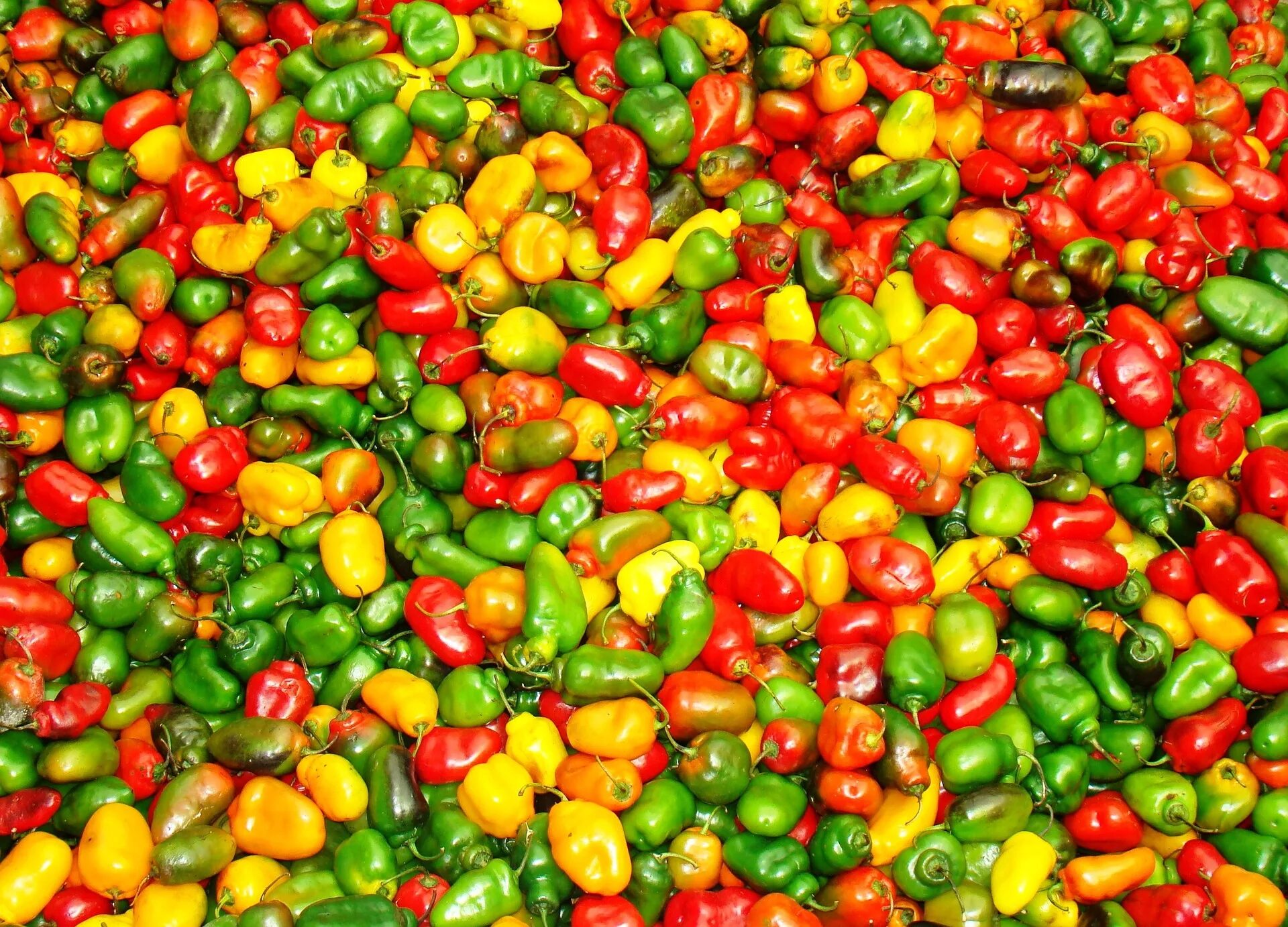 How many peppers do