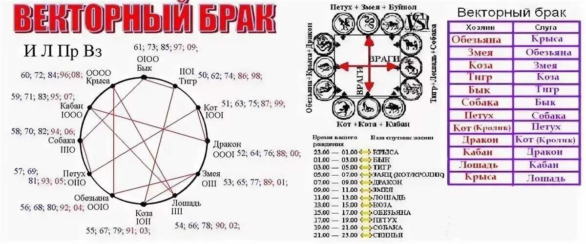 Женщина змея гороскоп совместимость