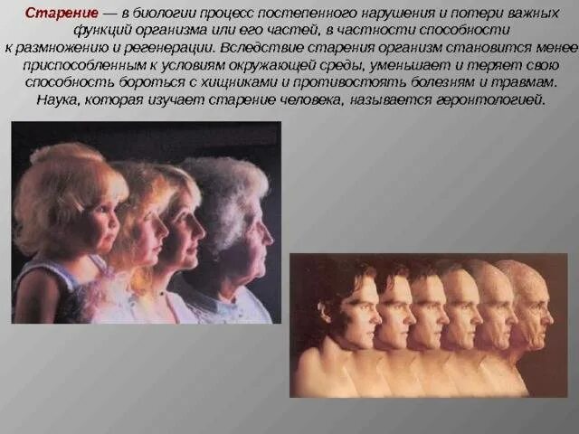 Как называется старость