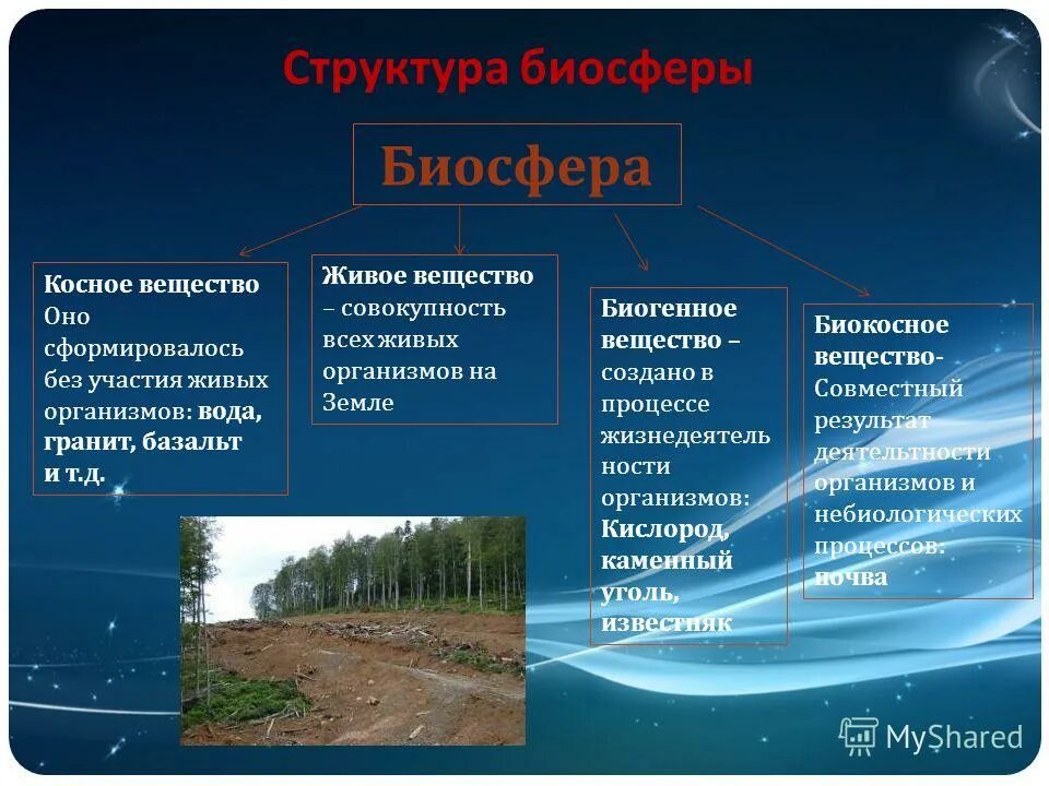 Почва является веществом биогенным