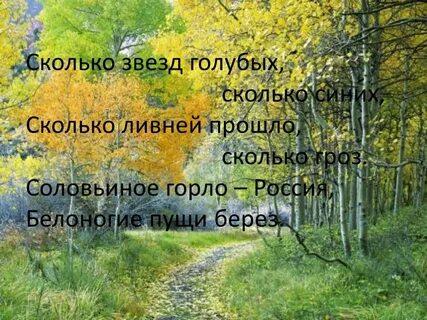 Песня сколько звезд сколько слов