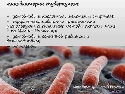 Микобактерия туберкулеза устойчива