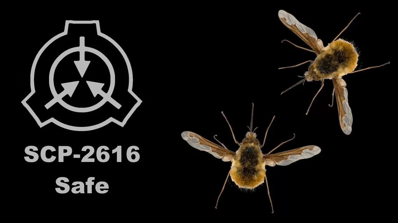 Scp 05. Scp 048. scp 48. scp 0048.