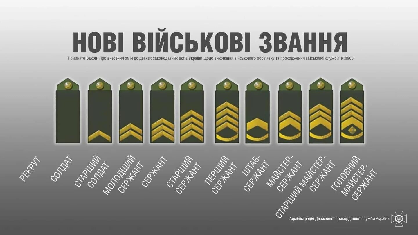 Погоны украины. Погоны и звания в армии Украины. Воинские звания Украины 2021. Звания в украинской армии 2021. Звания в украинской армии 2022.