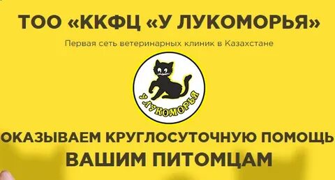 Лукоморье номер