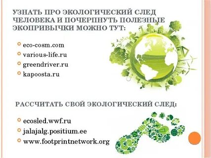 Что такое экологический след в экологии