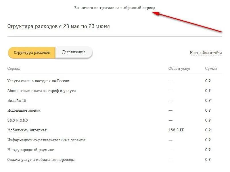 Что значит мобильный интернет в детализации. Объем услуг в детализации билайн. детализация в мобильном приложении билайн. роуминг билайн. мобильный интернет мессенджеры что это такое в детализации билайн.