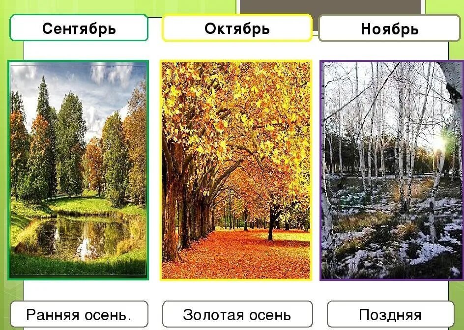 Приметы осени для дошкольников. Поры года. Время года осень изменения в природе. Дерево все времена года. Осенние месяцы для детей.