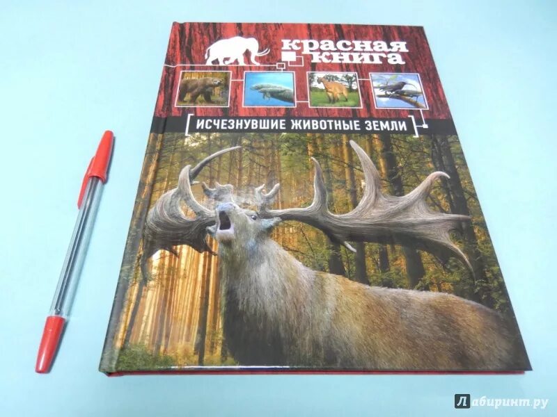 Планета животных. Животные которые вымерли. Эстемменозух пермского периода. Вымершие животные. Сообщение о животных которые исчезли.