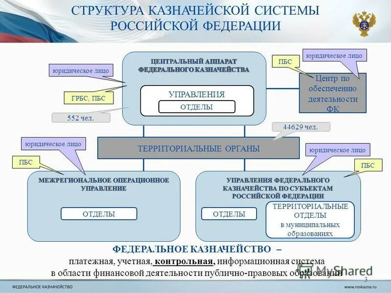 Казначейство юридическое лицо