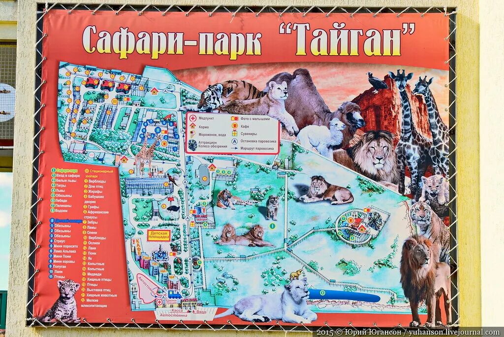 Тайган график работы январь 2025 Сбежавший судья, посадивший Зубкова под второй фамилией прячется в самом дорогом