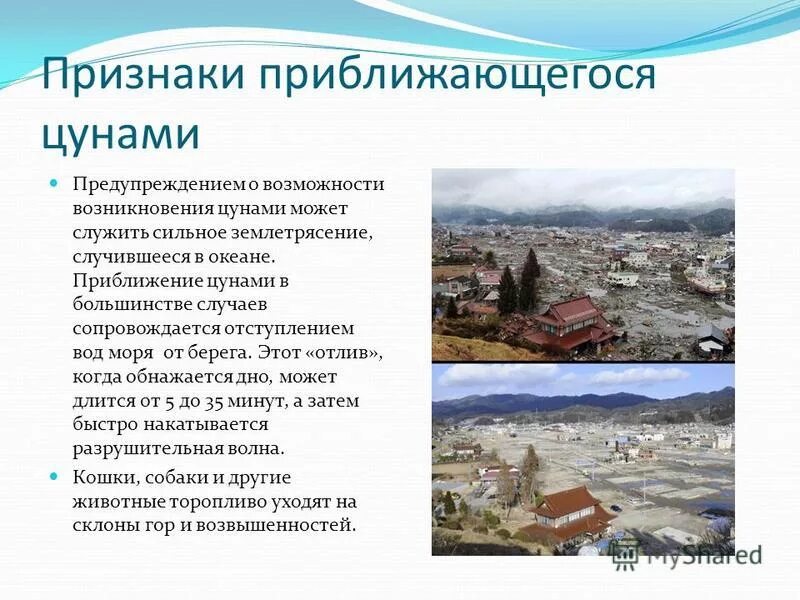 признаки появления цунами. признаки приближающегося цунами. предвестники цунами. один из признаков приближения цунами. признаки появления цунами.