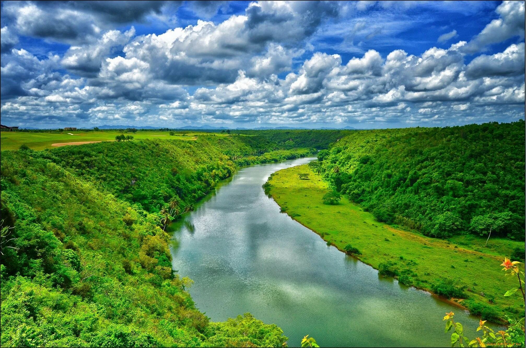 Река укр. Река. Красивая река. Речной пейзаж. Река картинка.