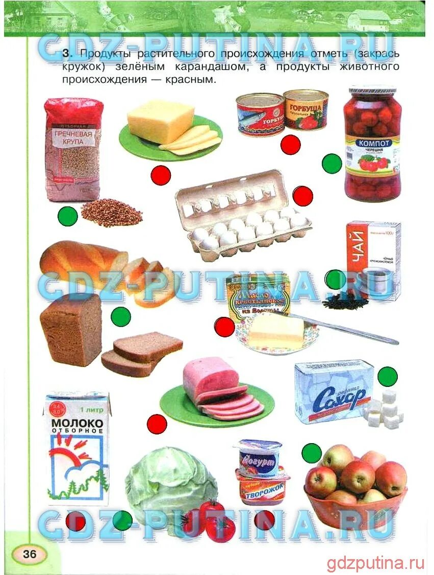 Окружающий мир рабочая тетрадь плешаков страница 36. Продукты растительного происхождения отметь. окружающий мир 3 класс продукты. продукты растительного происхождения окружающий мир рабочая тетрадь. продукты растительного происхождения отметь закрась.