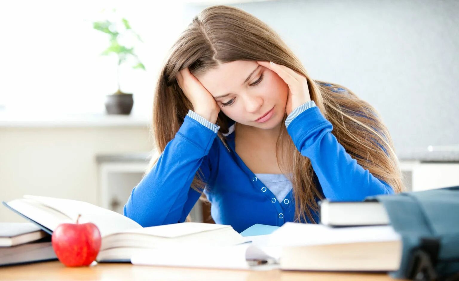 Study homework