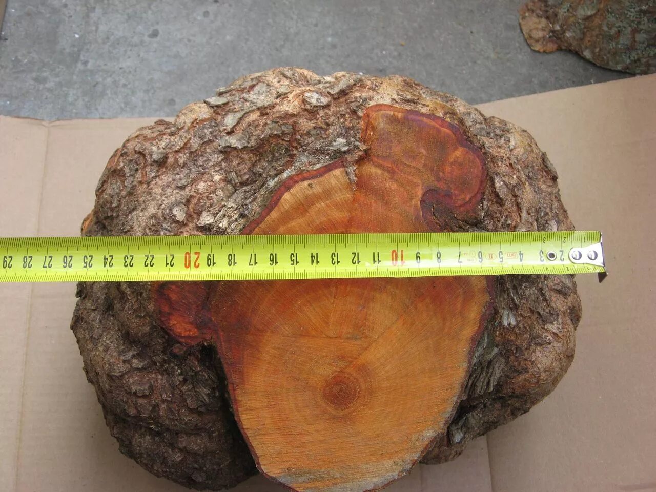 Кап канадского клена. Свиль. Шлир стекла. Шпальт дуба. Свиль березы.