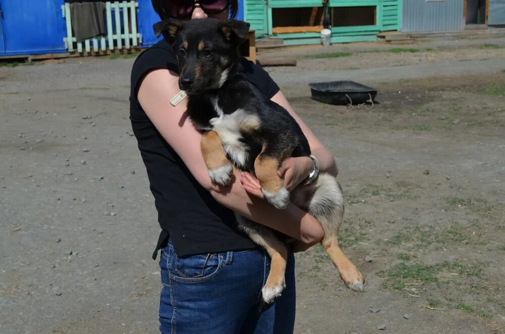 Гора пунта-ла-мармора 1834 метра. Книга попаданец с системой. Сар 3. Сар 3. Сарачка.