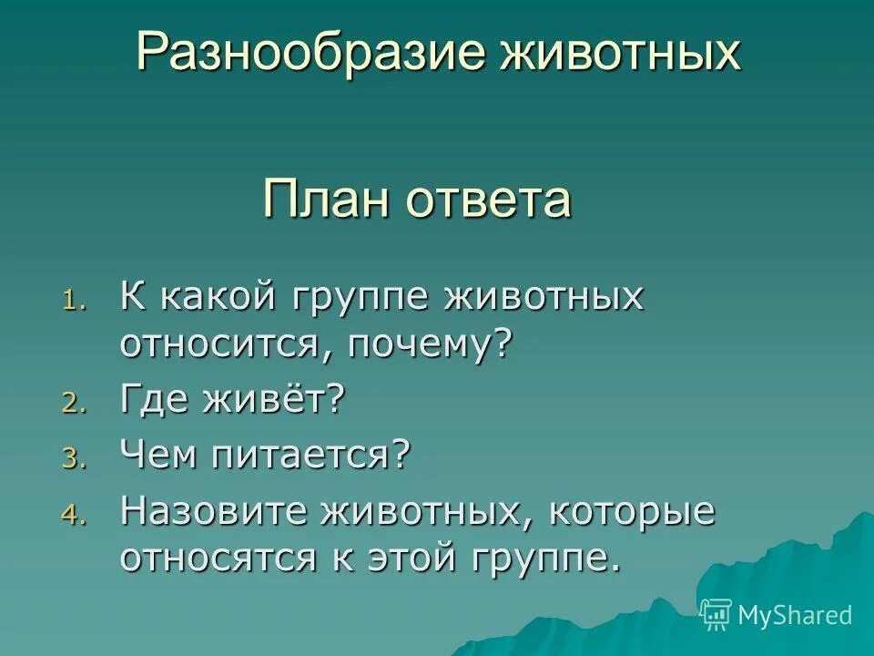 Виды планов в менеджменте. Разнообразие растений. Для чего человеку план местности. Разнообразие животных план. Сообщение на тему разнообразие планов.