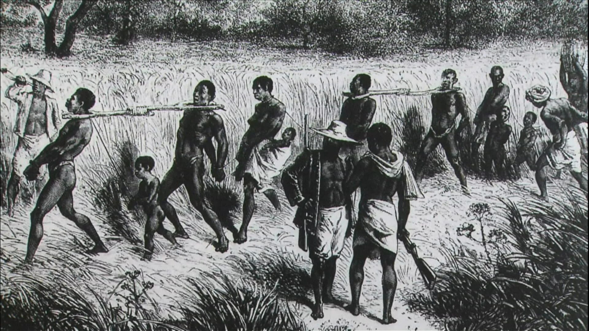 Рабы на плантациях рисунок. Тода раба