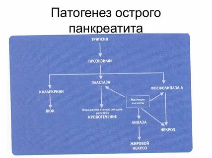 Основное звено острого панкреатита