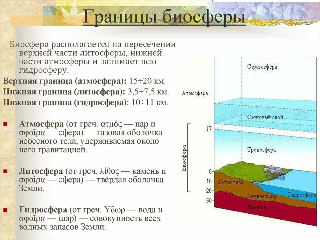 Слой преобразования