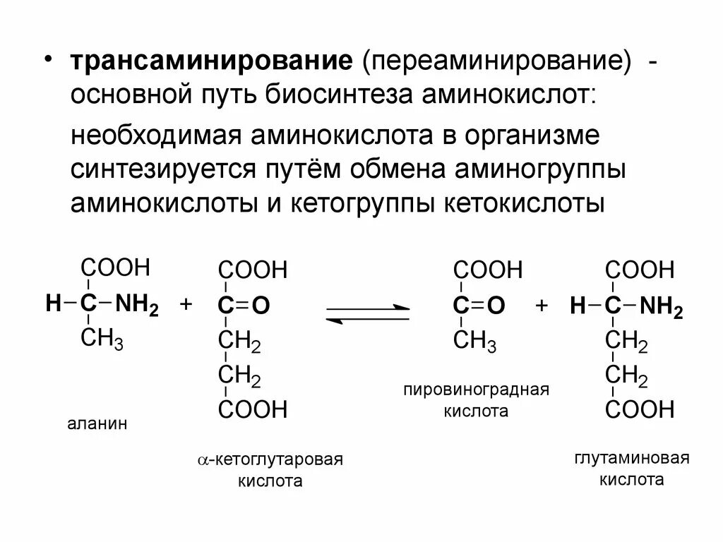 Переаминирование аминокислот. Общая схема реакции трансаминирования аминокислот. реакция трансаминирование аминокислот. трансаминирование альфа аминокислот. валин трансаминирование.