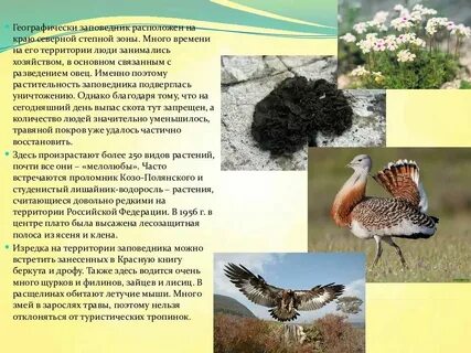 Название заповедников в зоне степей