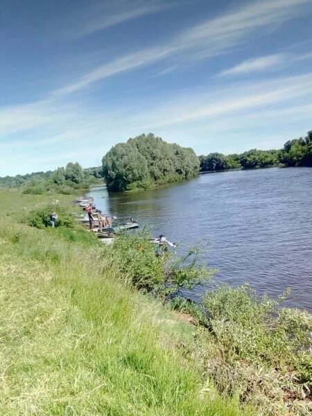 Погода селец трубчевского района. Трубчевский район Брянская область река Десна. Река Десна Трубчевск. Река Быстрик Трубчевский район. Деревня Голубча Трубчевский район Брянская область.