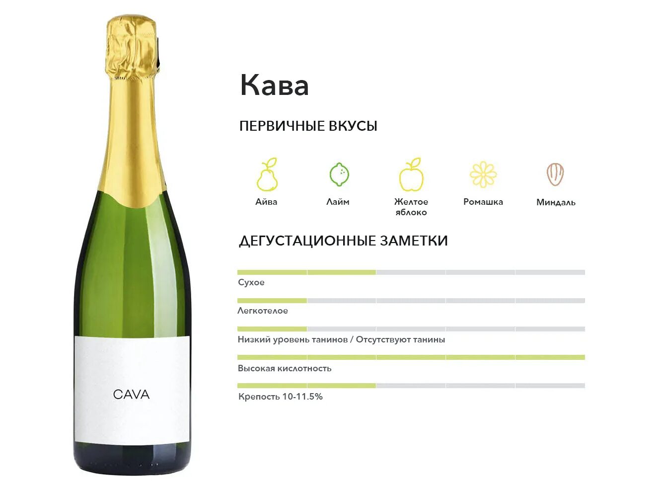 Cava Wine Folly. Игристые вина Испании Cava. Вайн Фолли шампанское. Шампанское Креман магнит. Шампанское кормящим