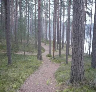 Петровское ленинградская область