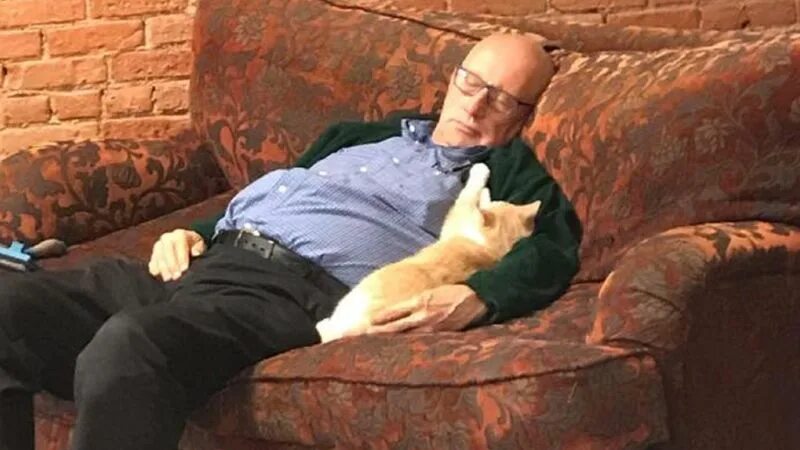 Мем с котом и дедом Пин от пользователя Юля Кобзева на доске Токийский гуль Милые котики, Кошачьи ме