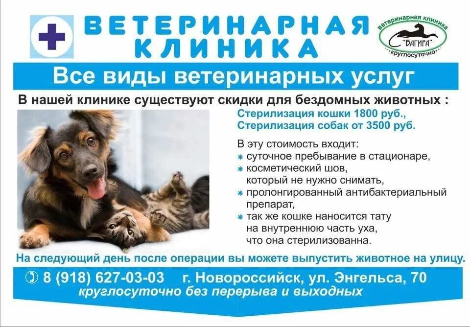 Реклама ветеринарной клиники. Ветеринарная клиника баннер. Услуги ветеринарной клиники. Реклама ветеринарных услуг.