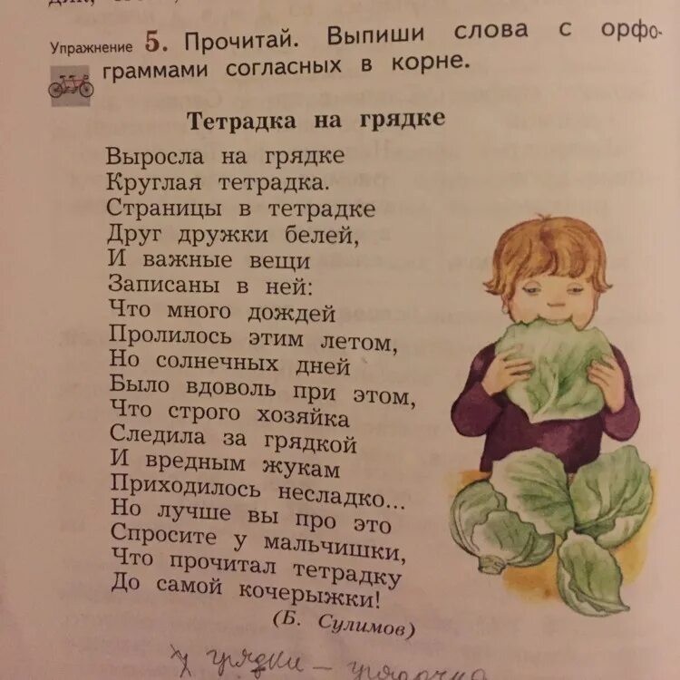 Алиса прочитай слово. Выросла на грядке круглая тетрадка. Тетрадка на грядке выпиши. Выпиши слова с орфограммами. Выросла на грядке круглая тетрадка страницы в тетрадке.