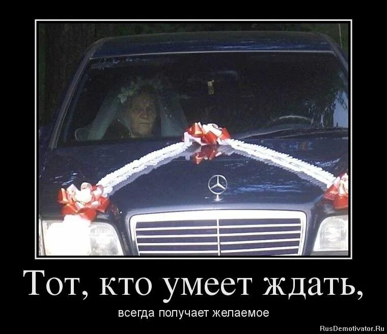 Тому кто умеет ждать всегда. Тому кто умеет ждать всегда