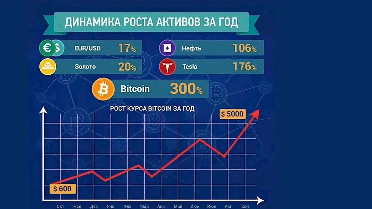 Трейдинг доходность
