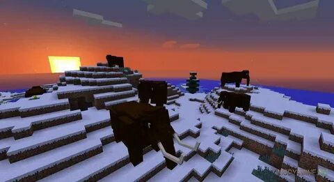 Mob 1.7 10