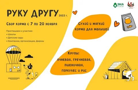 Благотворительная акция по сбору корма для животных