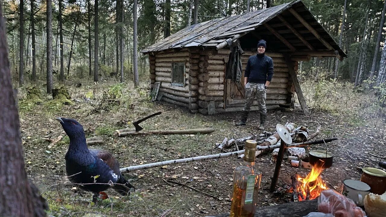 Рыбалка в избе. Таежные избушки рыбалка. лесные избушки для рыбалки и охоты. избушка у таежной реки. рыбалка охота лесные избы.