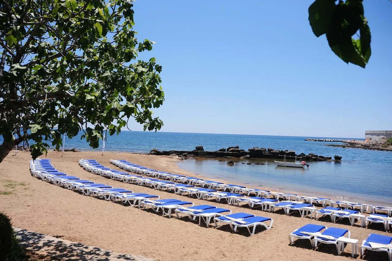 Sentido турция аланья. Sentido bay. Numa bay exclusive пляж. Отель numa bay турция. Numa bay exclusive hotel 5.