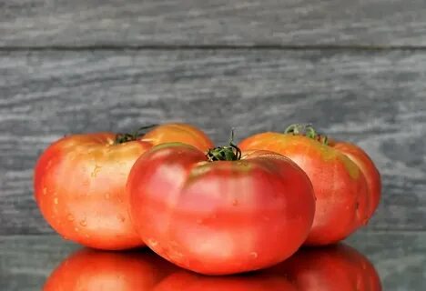 Томат картофельный лист