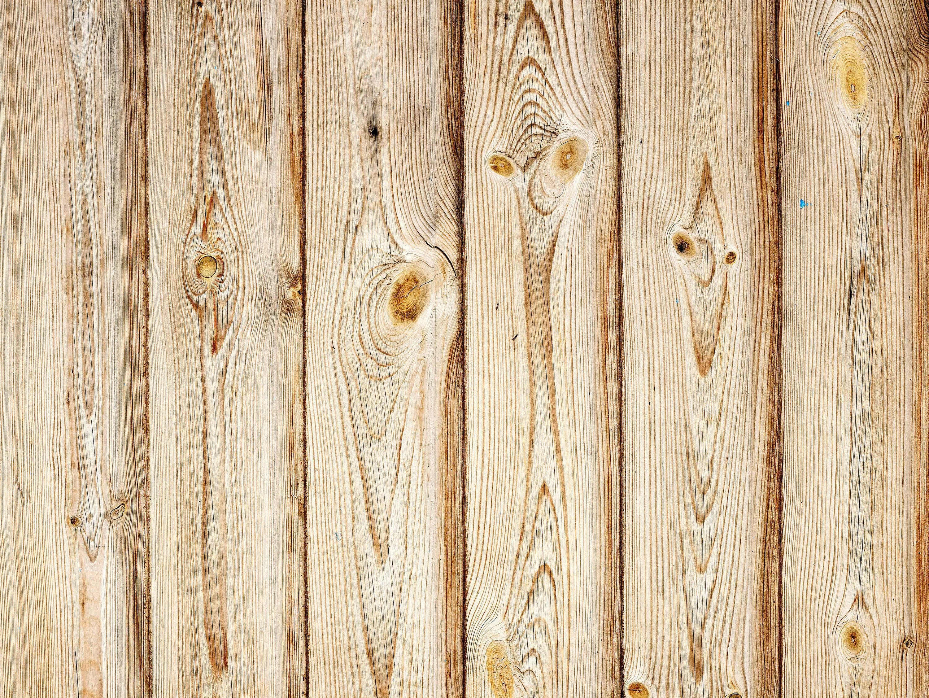 Wood. Деревянная доска. Фон деревянные доски. Текстура древесины. Фактура дерева.