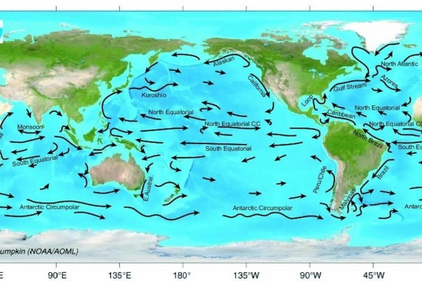 Морские течения действующие в тихом океане. Морские течения. Течения Тихого океана. Карта течений Тихого океана. Течение Куросио на карте Тихого океана.